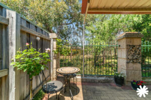 the vines property
