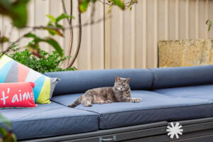 177C Hill View Terrace, Bentley WA 6102 | Bourkes